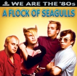 A Flock Of Seagulls
